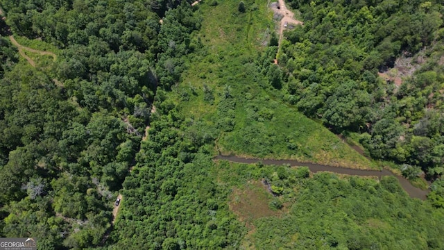 155AC Megan Trace Dr, Turtletown, TN 37391