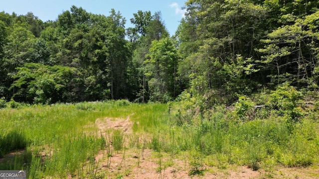 Listing photo 3 for 155AC Megan Trace Dr, Turtletown TN 37391