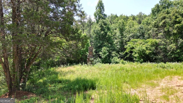 155AC Megan Trace Dr, Turtletown, TN 37391