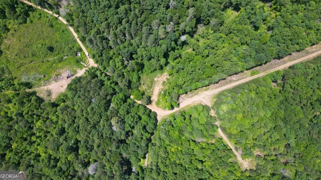 155AC Megan Trace Dr, Turtletown, TN 37391