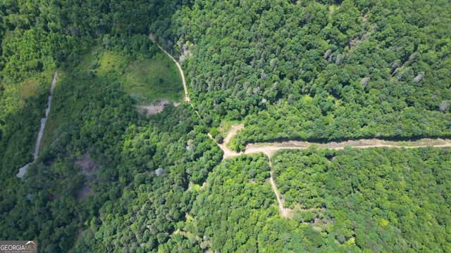 155AC Megan Trace Dr, Turtletown, TN 37391