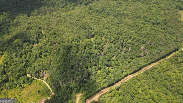 155AC Megan Trace Dr, Turtletown, TN 37391