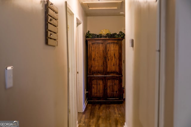 hall featuring dark wood-type flooring