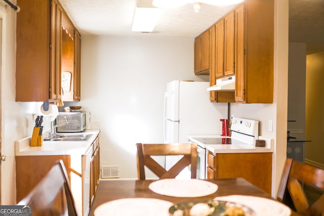 kitchen with sink and white range with electric cooktop