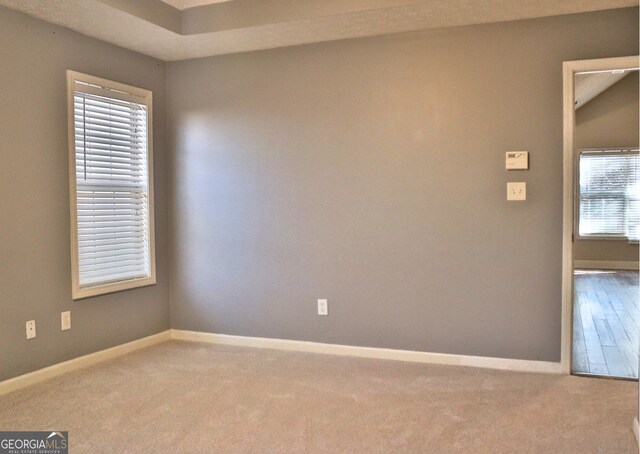 unfurnished room featuring light carpet