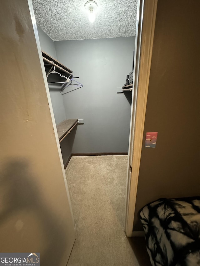 walk in closet featuring carpet