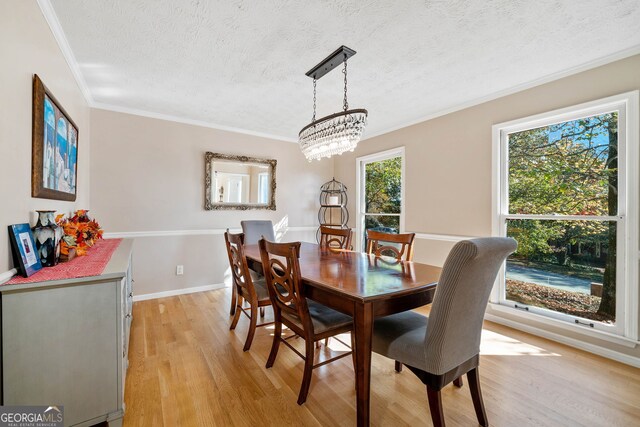 dining space featuring crown molding, light hardwood / wood-style floors, and a textured ceiling