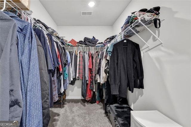 spacious closet featuring carpet floors