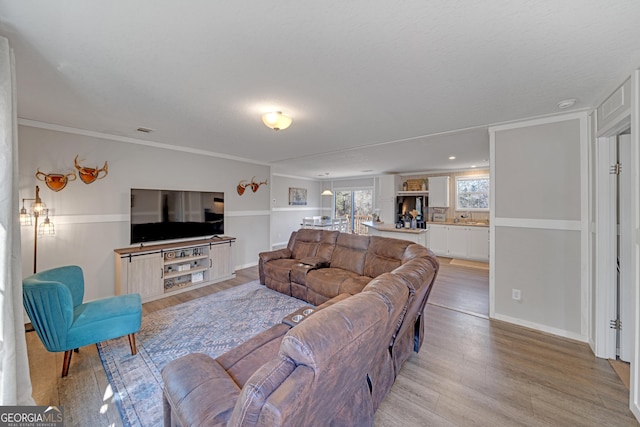 living room featuring light hardwood / wood-style floors, sink, and crown molding