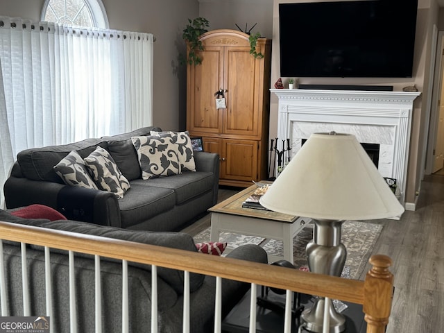 living room featuring a fireplace and hardwood / wood-style flooring