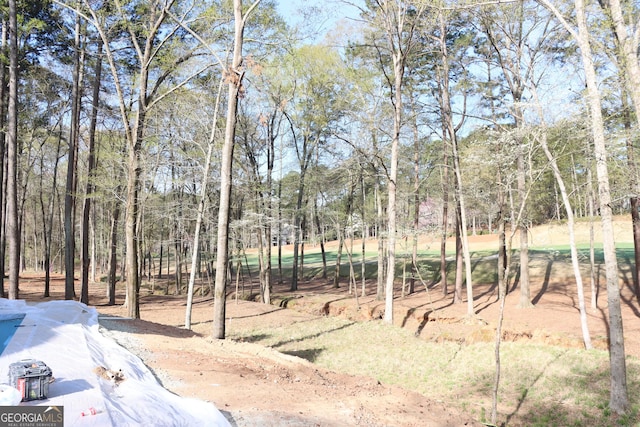 1140 Fox Bnd, Greensboro, GA 30642 - view of yard featuring view of scattered trees