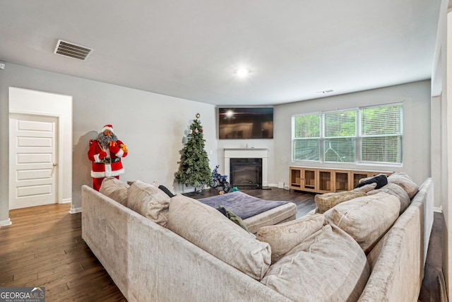 living room featuring dark wood-type flooring