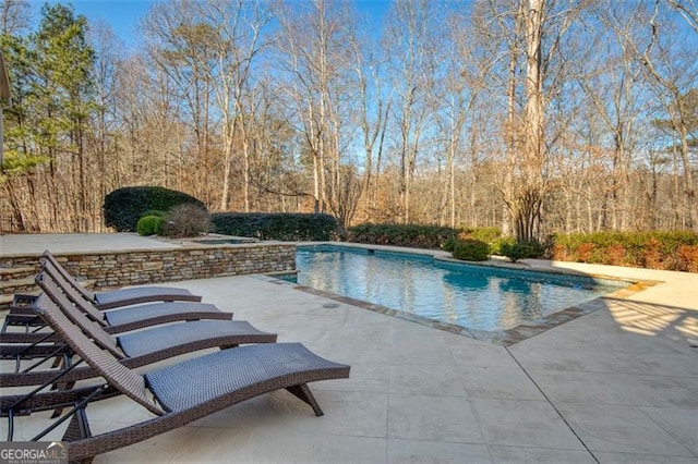 view of pool with a patio area