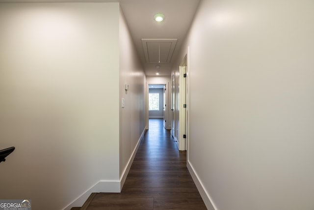 corridor with dark hardwood / wood-style flooring