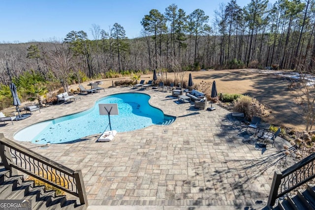 view of pool with a patio