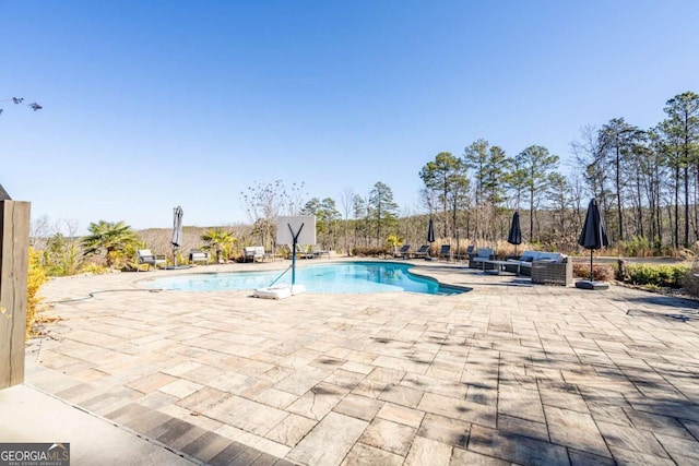 view of swimming pool featuring outdoor lounge area and a patio