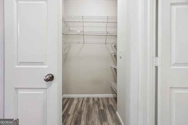 spacious closet featuring dark hardwood / wood-style flooring