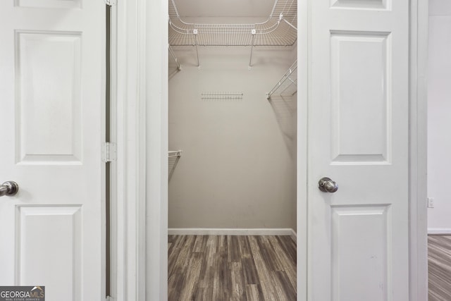 spacious closet featuring dark hardwood / wood-style floors