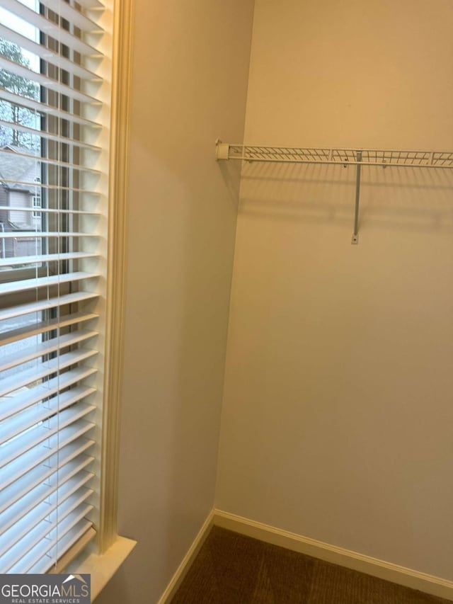 spacious closet with carpet floors