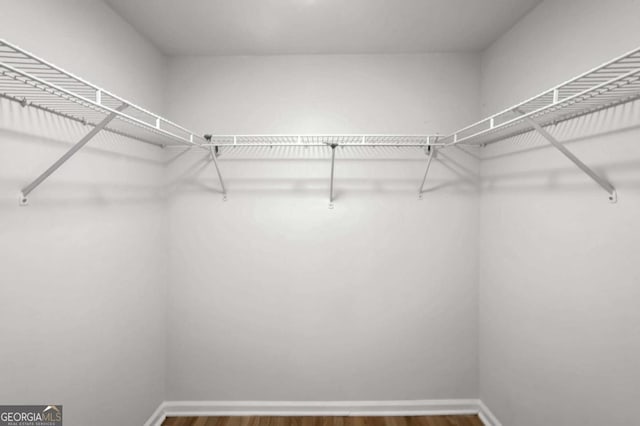 spacious closet with wood-type flooring