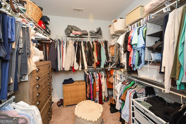 spacious closet with carpet