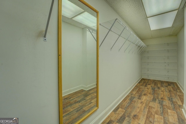 walk in closet with dark hardwood / wood-style floors