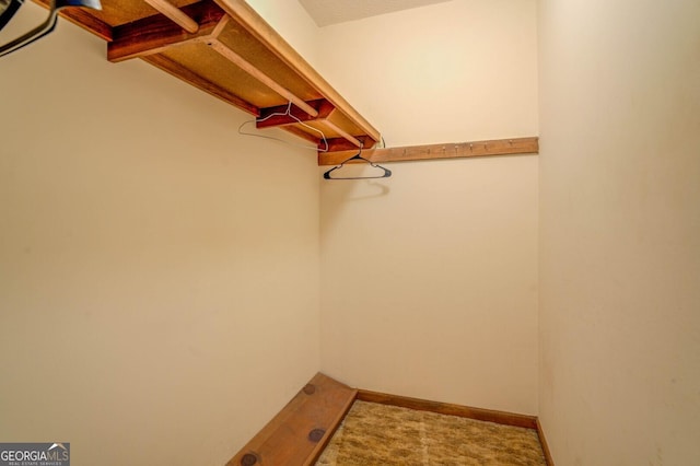 spacious closet with carpet