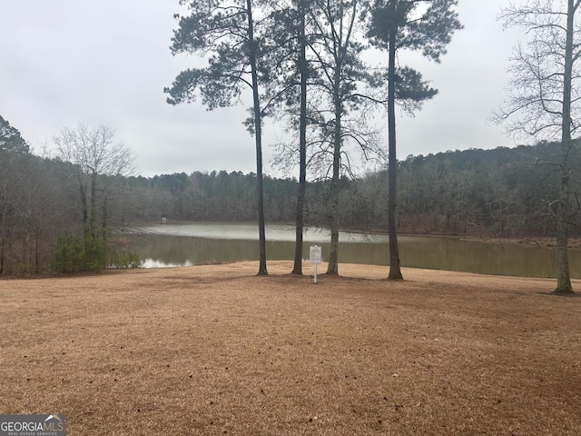 view of yard with a water view