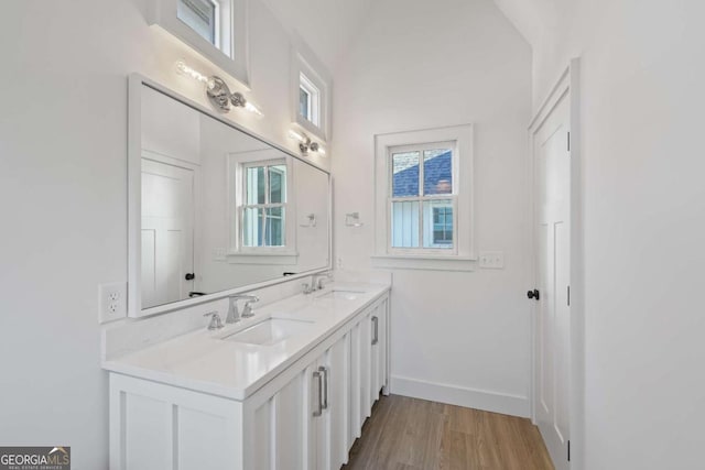 bathroom featuring vanity and wood-type flooring