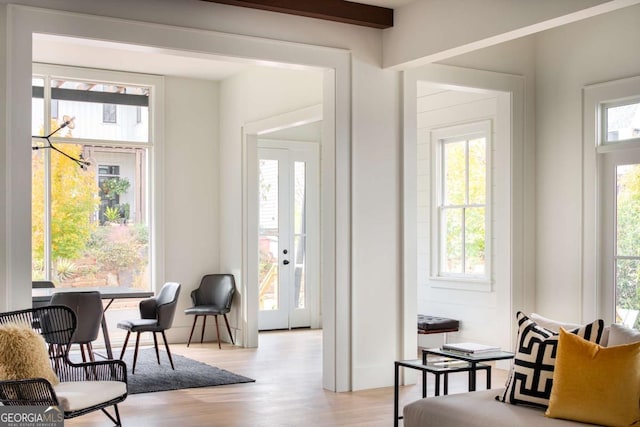 sitting room with light hardwood / wood-style flooring