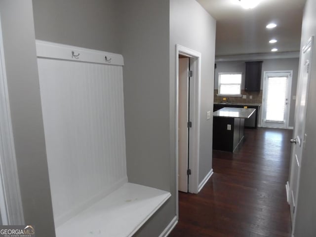 mudroom featuring dark wood-type flooring