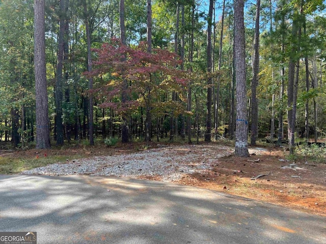 1041 Yazoo Fishery, Greensboro GA, 30642 land for sale