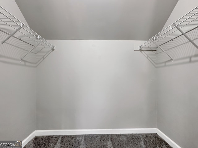 spacious closet featuring carpet