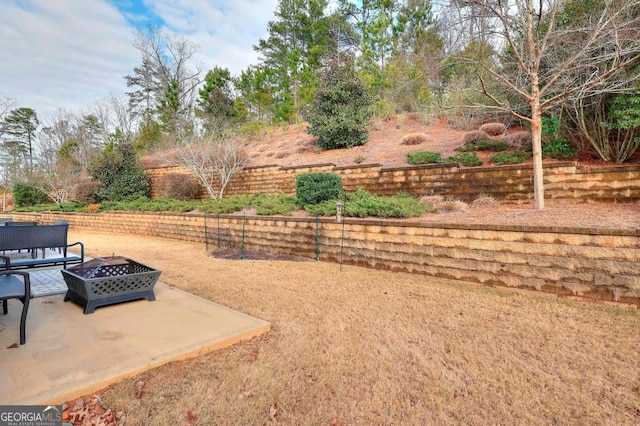 view of yard with a patio area and a fire pit