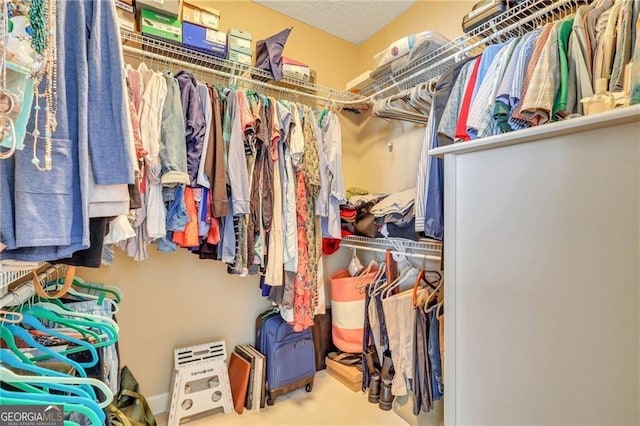 view of spacious closet