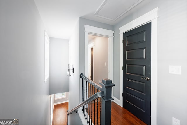 entryway with dark wood-type flooring