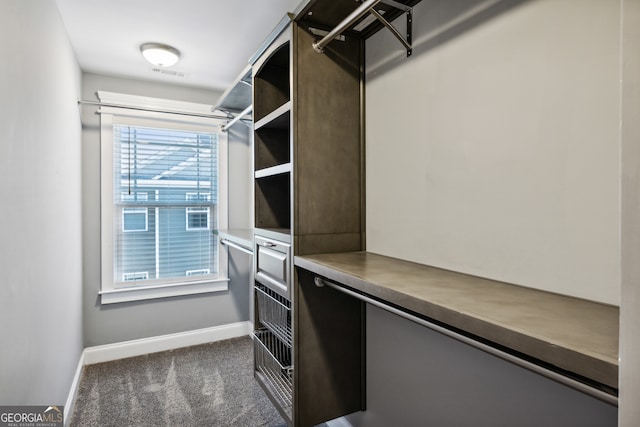 walk in closet with dark colored carpet