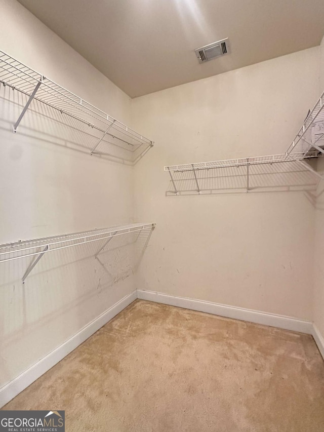 walk in closet with carpet