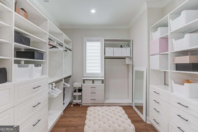 spacious closet featuring dark hardwood / wood-style flooring