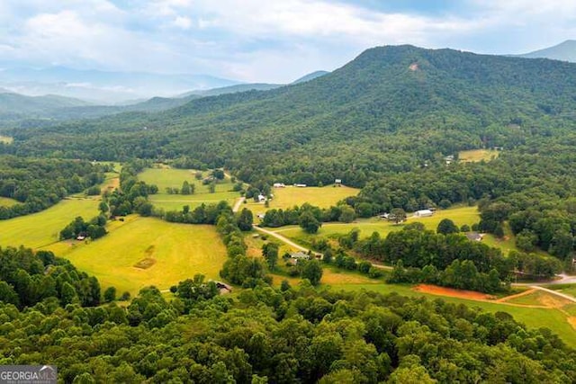 drone / aerial view with a mountain view