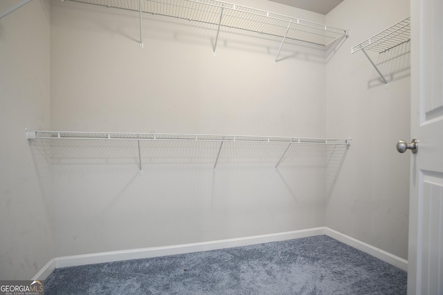 spacious closet with carpet