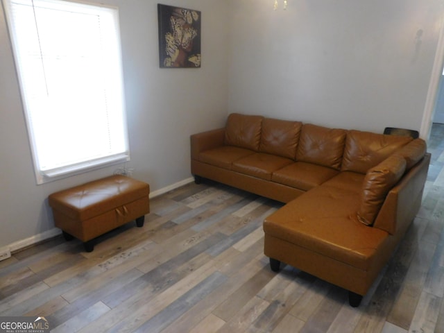 living room with hardwood / wood-style flooring and a wealth of natural light