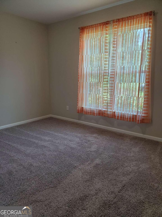 empty room featuring carpet flooring