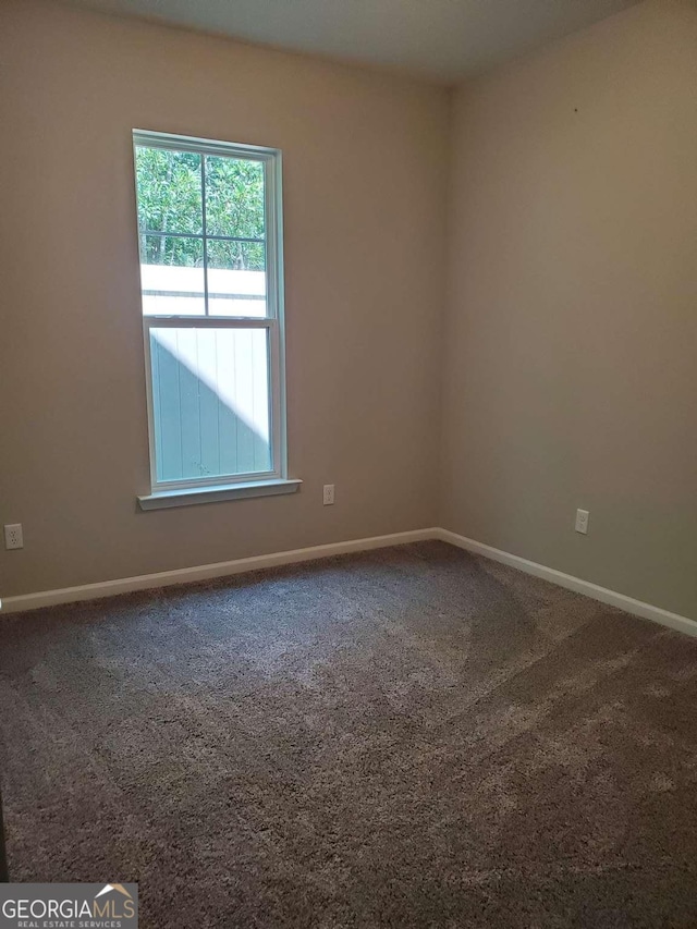 unfurnished room with carpet flooring