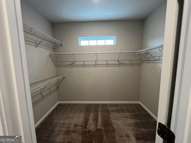 143 Madeira Dr, Brunswick, GA 31523 - spacious closet featuring carpet flooring