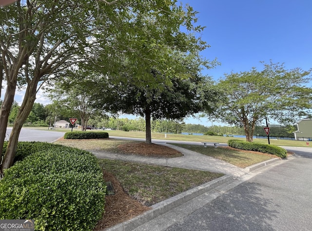 143 Madeira Dr, Brunswick, GA 31523 - view of community