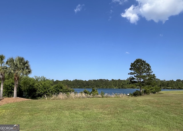 143 Madeira Dr, Brunswick, GA 31523 - water view featuring a heavily wooded area