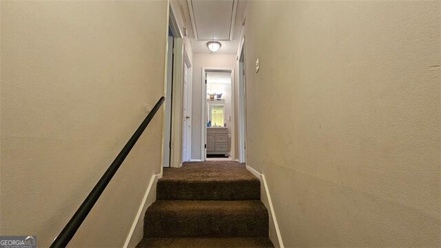 stairway featuring carpet flooring