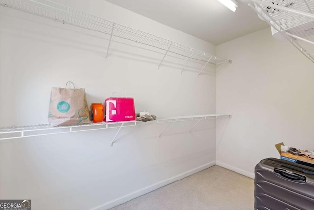 spacious closet featuring carpet floors