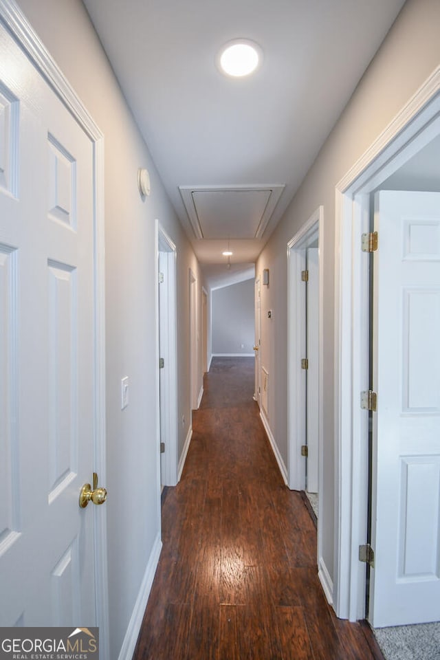 corridor with dark wood-type flooring